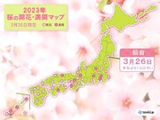 仙台で桜開花　統計開始以来最も早い　東北も続々と最早記録更新