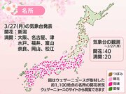 今日の桜前線 3月27日(月)　新潟で桜開花　大阪や名古屋など満開へ