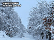 北海道各地で雪が積もる　夜は路面凍結に注意