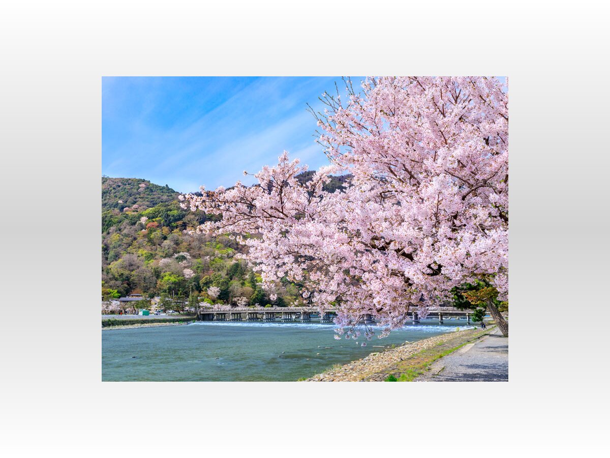 初桜 徒桜 桜花爛漫 さくらの日 に触れたい 桜の言葉 21年3月27日 Biglobeニュース