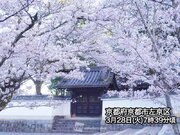 西日本や東海は桜が映える青空　午後もお花見日和続く