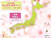 長崎と和歌山で桜満開　平年より早い満開に