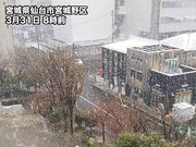 東北各地で春の雪　仙台は2か月ぶりに1cm以上の積雪        