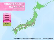 最新桜情報　今日1日は横浜などで開花　桜前線は陸奥入りへ　西日本は見頃迎える