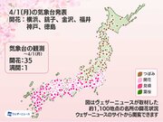 今日の桜開花状況 4月1日(月)　新年度初日に桜前線は北陸へ到達　横浜や神戸でも開花