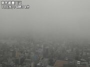 東京の花冷え今日まで　明日2日(木)は一週間ぶりに晴れて気温上昇        