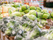 異常な高値の野菜、値下がりはいつから!?　4月の“野菜予報”