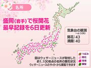 岩手 盛岡で桜開花　観測史上最早記録を6日間も更新
