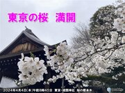 東京で桜満開　昨年より13日遅い満開　週末はお花見日和