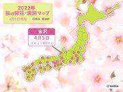 金沢で桜満開　山形で梅開花　桜前線・梅前線ともに着実に北上中