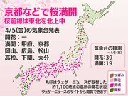 今日の桜開花状況 4月5日(金)　京都や広島などで満開に　桜前線は東北を北上中