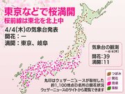 今日の桜開花状況 4月4日(木)　東京や岐阜で満開に　桜前線は東北を北上中