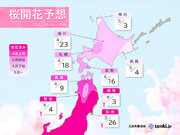 2023年桜開花予想(臨時報) 　北の大地は記録的な早さで桜色に　札幌18日開花