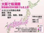 今日の桜開花状況 4月6日(土)　大阪や福井などで満開に　桜前線は日本海側でも北上中