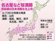 今日の桜開花状況 4月7日(日)　名古屋や横浜で満開、桜前線は日本海側でも北上中