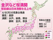 今日の桜開花状況 4月8日(月)　金沢や熊谷で満開、桜前線は日本海側でも北上中