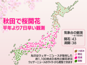 今日の桜開花状況 4月10日(水)　秋田で桜開花　桜前線が東北北部に