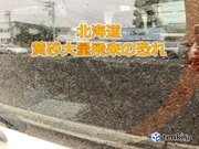 北海道　12日(水)から13日(木)は黄砂の大量飛来に注意。