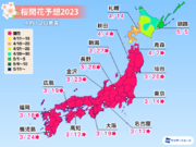 桜開花予想2023　記録的な早さで桜前線北上　札幌でもGW前から見頃に