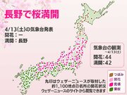 今日の桜開花状況 4月13日(土) 長野で満開に　順調に桜前線北上中