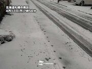 北海道は各地で雪化粧　札幌市内も雪やみぞれに