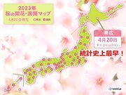 北海道　帯広で桜が開花　2年連続の記録更新
