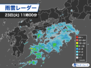 西日本は太平洋側中心に雨　明日は関東で朝から本降りの雨に