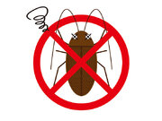 夏の爆発的な繁殖を抑える!?　大型連休中にゴキブリ対策をしておくべき理由