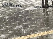 東京都内で雨が降り出し一部で本降り　夕方にかけて雷雨に注意