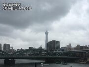 東京など関東は久々の本降りの雨　夕方は沿岸部で強雨に注意        
