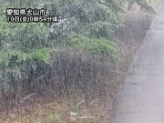 西日本や東海で強雨　午後は関東も本降りの雨に
