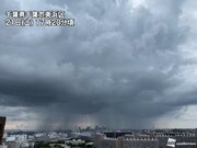 南関東で局地的な土砂降りの雨　あす朝にかけて急な雷雨に注意