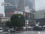 東京や埼玉に大雨警報　視界不良や道路冠水に注意