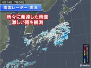 朝は関東や東海、沖縄などで激しい雨　日中も雨雲や雷雲が急発達　落雷や竜巻など注意