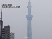 東京都心は湿った空気で視界不良　午後は段々と雨が降りやすく