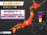 関東で今年初の熱中症警戒アラート　今日25日(土)対象