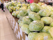 値上がりしているあの野菜が安くなる？　7月のお買い得がわかる”野菜予報”
