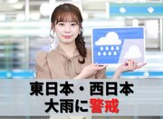 お天気キャスター解説 7月7日(水)の天気