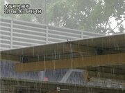 大阪など近畿で土砂降りに　夜にかけて急な雨に注意        