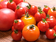 暑い季節は赤が良い!? 夏バテ予防にトマトが効くワケ        