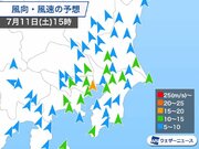 東京湾周辺で強まる風に注意　電車遅延の心配も        
