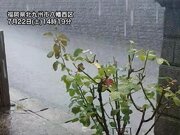 九州で雨雲が発達し雷雨　湿った空気の影響で大気の状態不安定