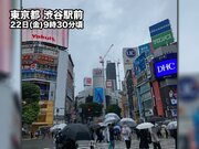 東京都心でも本降りの雨　雨のあとは真夏の蒸し暑さに