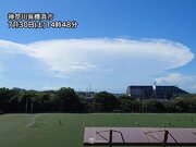 関東各地で、かなとこ雲が見られる　西部で発達した積乱雲