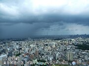 東京都心　気温グッと下がり25台　夜遅くまで局地的な雷雨や非常に激しい雨に注意