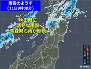 大雨続く東北北部　きょう(11日)も活発な雨雲がかかる　土砂災害に厳重警戒