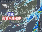 関東　雨雲が発達中　大雨警報発表の所も　 帰宅時間も所々で傘が必要　雨はいつまで