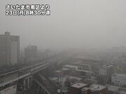関東は朝から土砂降りの所も　午後にかけて雨の降りやすい天気続く