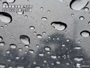 北日本で風雨が強まる　午後にかけて雷や突風にも注意