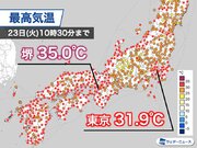 処暑に入るも残暑厳しい　東京都心は3日ぶりに30を突破